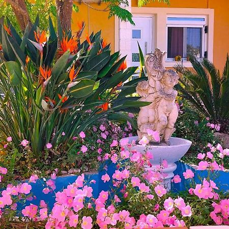 Iris Apartment Near Corfu Town コントカリ エクステリア 写真