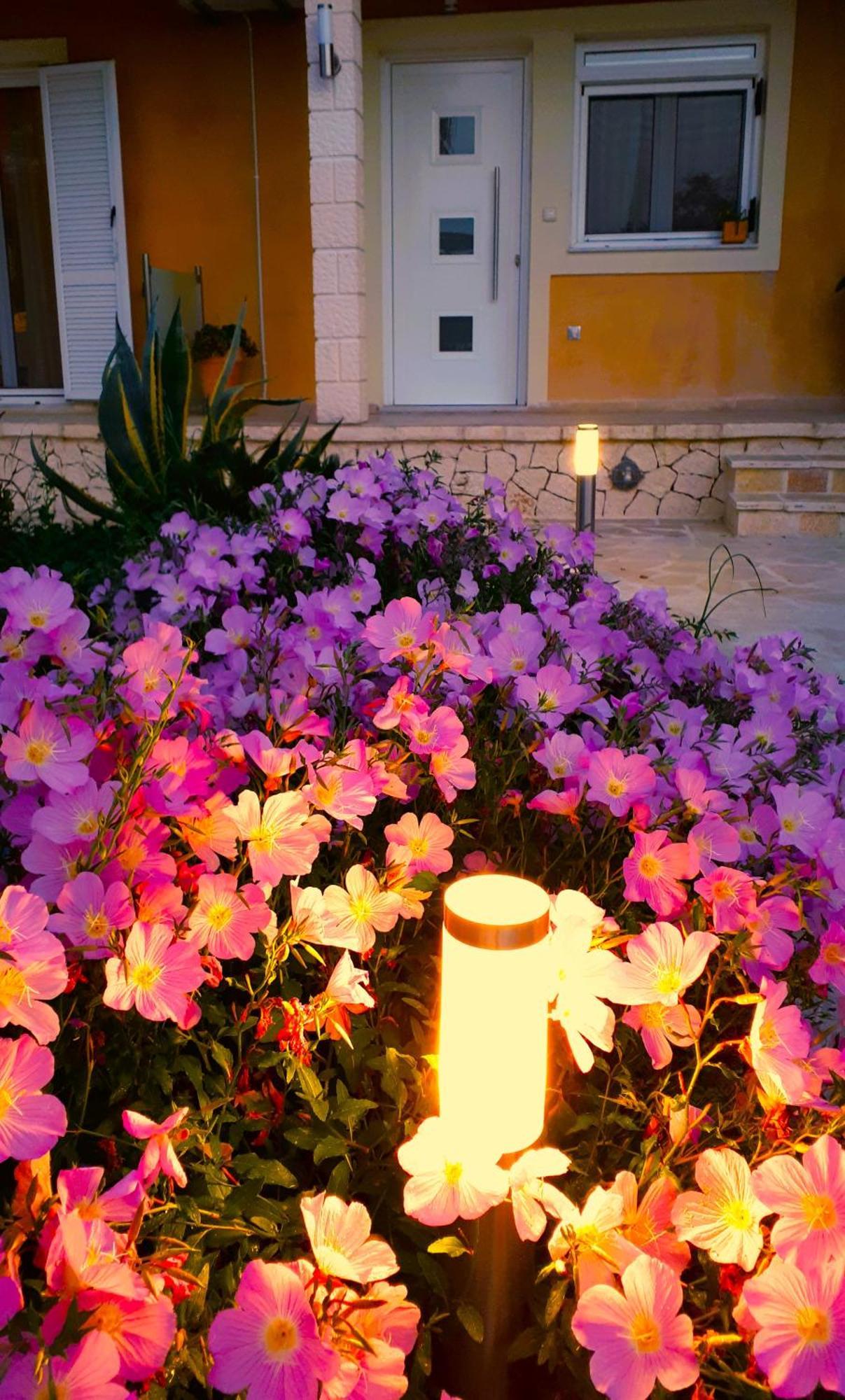 Iris Apartment Near Corfu Town コントカリ エクステリア 写真