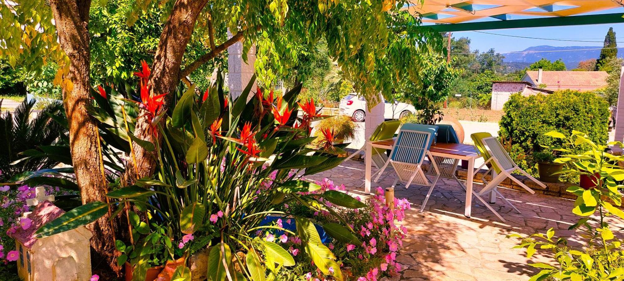 Iris Apartment Near Corfu Town コントカリ エクステリア 写真